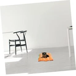 Balacoo Mat Warm Decorative Puppy Crate Soft Household Mattress Cave Pets Sleeping Pad Dogs Pumpkin Nest Mats House Thermal For Warming Creative Cushion Cat Bed Warmth Pet Small Home And -Greenies Pet Store 3176AvNi58L