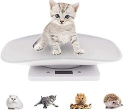 Digital Pet Scale, Cat Scale, Small Animal Weight Scale Portable Electronic LED Scales(Max. 22 Lbs), Multifunction Kitchen Scale For Weighing Puppy/Kitten/Hamster/Hedgehog/Tortoise/Food -Greenies Pet Store 3186t9j6kPS. AC