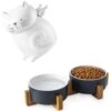 Y YHY 40oz Cat Treat Cookie Jar & 24oz Ceramic Dog And Cat Bowl Set -Greenies Pet Store 318nTmP2ZQL