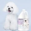 The Blissful Dog Razzle Dazzle White Shampoo, 1 Gallon 1 The Blissful Dog Razzle Dazzle White Shampoo, 1 Gallon -Greenies Pet Store 31Oh535uydL