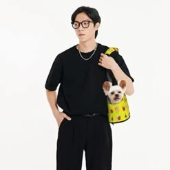 Soft Sided Travel Pet Carrier Tote Hand Bag Cartoon-Fast-Food-Pizza Portable Small Dog/Cat Carrier Purse 11 Soft Sided Travel Pet Carrier Tote Hand Bag Cartoon-Fast-Food-Pizza Portable Small Dog/Cat Carrier Purse -Greenies Pet Store 31g7bKtiYUL