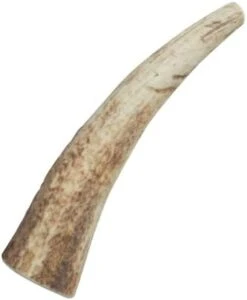 Health Extension Natural Elk Antlers For Dogs Chews, Long-Lasting Bone For Aggressive Chewers, Puppy Training Treat, Promote Healthier Dental Teeth And Gums, Small Whole Size -Greenies Pet Store 31vtdoz1XpL. AC