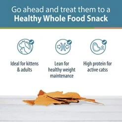 JustFoodForDogs JustFoodForCats Salmon Treats - Fresh Cat Treats 5 Oz - Whole Food Treat Snacks For Kittens & Cats - No Preservatives, No Hormones Added, Lean, Low Fat, USA Made - BPA - Free Packaging -Greenies Pet Store 410845bUuAL