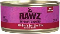 Rawz Natural Premium Pate Canned Cat Wet Food - Made With Real Meat Ingredients No BPA Or Gums - 5.5oz Cans 24 Count (Salmon) -Greenies Pet Store 4128Wu5I9tL. AC