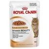 Royal Canin Intense Beauty In Jelly Cat Food 12 X 85g -Greenies Pet Store 414lwvok00L