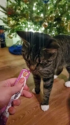 Rena's Recipe Kitty Licks (28 Tubes / 7 Flavors) Chicken - Chicken With Liver - Chicken With Tuna - Tuna - Tuna With Seafood - Tuna With Salmon - Tuna With Scallop -Greenies Pet Store 415qxy6kR5L