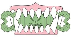 Loving Pets Orabone Dental Treat For Dogs 6 Count (Pack Of 1) 9 Loving Pets Orabone Dental Treat For Dogs 6 Count (Pack Of 1) -Greenies Pet Store 417HaHsHQ5L