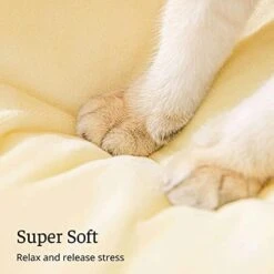 GENERIC Semi-Enclosed Cat Bed - Lovely Round Food Print Kennel Cat Bed Mat Cushion Bed House Kitten Cute Cat Soft Cave Bed For Dog Cat Pet Supply Home Décor -Greenies Pet Store 417QMRJLq2L