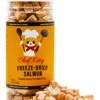 Chef Kitty - Premium Freeze Dried Cat Treats Salmon 1.75oz -Greenies Pet Store 41CnEDS1YQL