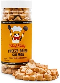 Chef Kitty - Premium Freeze Dried Cat Treats Salmon 1.75oz -Greenies Pet Store 41CnEDS1YQL. AC