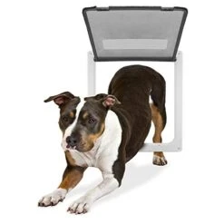 GENERIC Door Small Cat Gate Door Dog Door 4 Way Lockable Cat Kitten Door Security Flap Door Abs Plastic 1Pcs 25X23.5X5.3Cm -Greenies Pet Store 41DnWFi7MvL