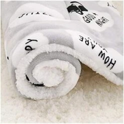 YangYan Fleece Cat Bed Mat Pet Bed Mat New Pet Soft Dog Cat Blanket Winter Foldable Pet Cushion Soft Warm Sleep Mat Cat Supplies (Color : Gray, Size : 40x55cm) -Greenies Pet Store 41DwVzXLb8L. AC