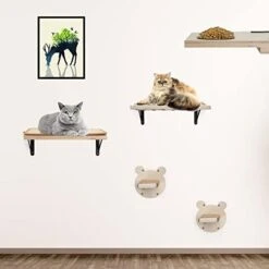 A.FATI Cat Wall Shelf, Wooden Cat Feeding Shelf With 2 Raised Bowls, 15° Tilted Feeding Position, Cat Shelves And Perches For Eating, Playing, Sleeping & Lounging -Greenies Pet Store 41ET4UPU9pL. AC