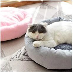 YangYan Pet Supplies Sweet Plush Cat Bed House Cat Mat Basket Warm Round Cushion Egg Tart Bed Soothing Dog Cushions Relax The Fence (Color : Gray, Size : Blanket) -Greenies Pet Store 41EgAFM0f2L. AC 1