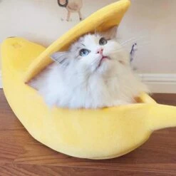 JENPECH Creative Banana Shape Pet Dog Cats Nest - Soft Winter Puppy Kitten Warm House Bed - Comfortable Cat House For Indoor Cats 13 JENPECH Creative Banana Shape Pet Dog Cats Nest - Soft Winter Puppy Kitten Warm House Bed - Comfortable Cat House For Indoor Cats -Greenies Pet Store 41FNm9tCVjL