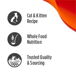 Nulo Freestyle Freeze-Dried Raw, Ultra-Rich Grain-Free Dry Cat Food For All Breeds And Life Stages With BC30 Probiotic For Digestive And Immune Health -Greenies Pet Store 41HyeFJQpwL