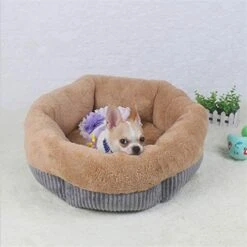 SENERY Winter Warm Beds For Small Dogs Deep Dish Dirt-Resist Waterproof Pet House Soft Comfort Puppy Cat Nest -Greenies Pet Store 41IBXn8FUaL