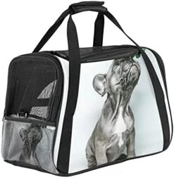 Pet Carrier Cute Sushi Japanese Food Soft-Sided Pet Travel Carriers For Cats,Dogs Puppy Comfort Portable Foldable Pet Bag Airline Approved -Greenies Pet Store 41INcka2EOS. AC