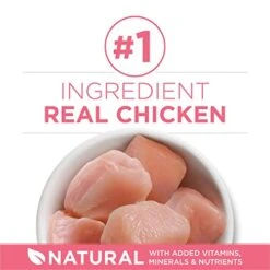 Purina ONE High Protein, Natural Dry Kitten Food, +Plus Healthy Kitten Formula - 7 Lb. Bag -Greenies Pet Store 41JOebDCKjL