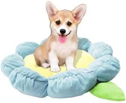 TONBO Soft Plush Small Cute And Cozy Food Dog Cat Bed, Washer And Dryer Friendly (Burger) -Greenies Pet Store 41JemnD2Y7L. AC