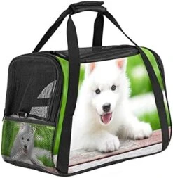 Pet Carrier Cute Cartoon Rolls And Sushi In Kawaii Japanese Food Soft-Sided Pet Travel Carriers For Cats,Dogs Puppy Comfort Portable Foldable Pet Bag Airline Approved -Greenies Pet Store 41Lu1QcByWS. AC