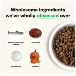 Open Farm Wild-Caught Salmon Grain-Free Dry Dog Food, Fresh Pacific Salmon Recipe With Non-GMO Superfoods And No Artificial Flavors Or Preservatives, 4 Lbs -Greenies Pet Store 41MKmwaRvoL