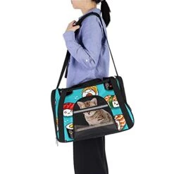 Pet Carrier Cute Cartoon Rolls And Sushi In Kawaii Japanese Food Soft-Sided Pet Travel Carriers For Cats,Dogs Puppy Comfort Portable Foldable Pet Bag Airline Approved -Greenies Pet Store 41OnedjGVgS