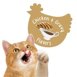 Nestle Purina Petcare 20 Oz Friskies Party Mix Gravy-licious Chicken & Gravy Flavors Cat Treats - (Pack Of 3) -Greenies Pet Store 41V9RwQzYML