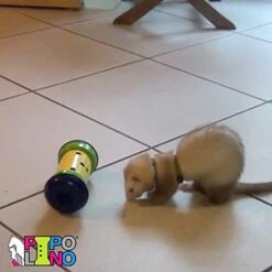 PIPOLINO Mobile Dispenser For Wellbeing/Health For Dogs Beige/Taupe S 13 PIPOLINO Mobile Dispenser For Wellbeing/Health For Dogs Beige/Taupe S -Greenies Pet Store 41WZLYkjH5L