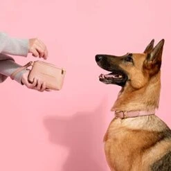 KATIE LOXTON Paw-FECT Zip Top Pebbled Vegan Leather Pet Treat Bag Pouch Pink -Greenies Pet Store 41WqnpDjWdL