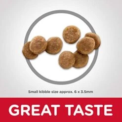 Hill's Science Diet Dry Cat Food, Kitten, Chicken Recipe, 7 Lb. Bag 9 Hill's Science Diet Dry Cat Food, Kitten, Chicken Recipe, 7 Lb. Bag -Greenies Pet Store 41Xza50ZfkL