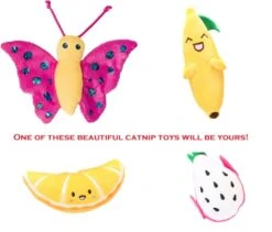 Aurora Pet Bundle Pack (2) The Honest Kitchen Human Grade Goat's Milk For Cats With AuroraPet Cat Toy (Assorted) -Greenies Pet Store 41YSPNkgNIL