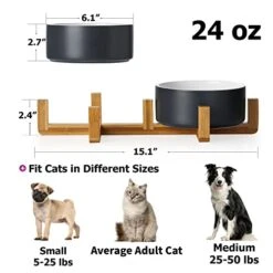 Y YHY 40oz Cat Treat Cookie Jar & 24oz Ceramic Dog And Cat Bowl Set -Greenies Pet Store 41a0OIwXP4L