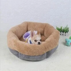 SENERY Winter Warm Beds For Small Dogs Deep Dish Dirt-Resist Waterproof Pet House Soft Comfort Puppy Cat Nest -Greenies Pet Store 41aIxWBdCGL. AC
