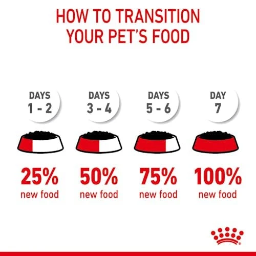 Royal Canin Feline Multipack Intense Beauty Cat Food In Jelly 12x85g (1.02kg) 7 Royal Canin Feline Multipack Intense Beauty Cat Food In Jelly 12x85g (1.02kg) - Image 5
