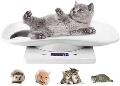 Digital Pet Scale, Cat Scale, Small Animal Weight Scale Portable Electronic LED Scales(Max. 22 Lbs), Multifunction Kitchen Scale For Weighing Puppy/Kitten/Hamster/Hedgehog/Tortoise/Food -Greenies Pet Store 41hHUZw8JcL. AC