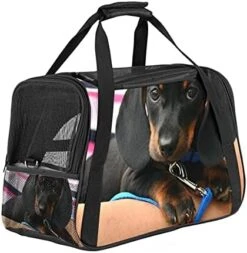 Pet Carrier Cute Sushi Japanese Food Soft-Sided Pet Travel Carriers For Cats,Dogs Puppy Comfort Portable Foldable Pet Bag Airline Approved -Greenies Pet Store 41jzoskLIgS. AC