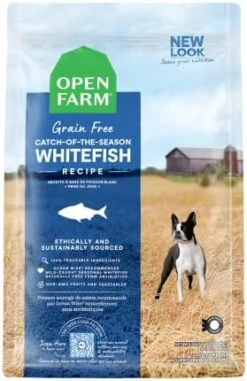 Open Farm Wild-Caught Salmon Grain-Free Dry Dog Food, Fresh Pacific Salmon Recipe With Non-GMO Superfoods And No Artificial Flavors Or Preservatives, 4 Lbs -Greenies Pet Store 41msr3GlfSL. AC