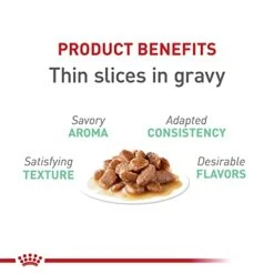 Royal Canin Digestive Care Thin Slices In Gravy Wet Cat Food, 3 Oz Cans 6-count 13 Royal Canin Digestive Care Thin Slices In Gravy Wet Cat Food, 3 Oz Cans 6-count -Greenies Pet Store 41nalnVTsfL