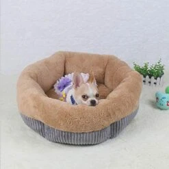 SENERY Winter Warm Beds For Small Dogs Deep Dish Dirt-Resist Waterproof Pet House Soft Comfort Puppy Cat Nest -Greenies Pet Store 41pKMHGsqjL
