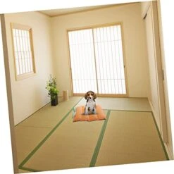 Balacoo Mat Warm Decorative Puppy Crate Soft Household Mattress Cave Pets Sleeping Pad Dogs Pumpkin Nest Mats House Thermal For Warming Creative Cushion Cat Bed Warmth Pet Small Home And -Greenies Pet Store 41pTz4iWSmL