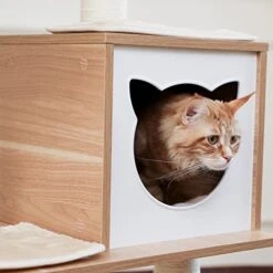 66" In Cat Tree Multi-Level Cat Tower With Fully Sisal Covering Scratching Posts,CARB-Certified Board,Deluxe Condos And Large Space Capsule Nest 12 66" In Cat Tree Multi-Level Cat Tower With Fully Sisal Covering Scratching Posts,CARB-Certified Board,Deluxe Condos And Large Space Capsule Nest -Greenies Pet Store 41saWNZ31YL