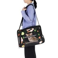 Pet Carrier Pattern With Prawns And Seafood Soft-Sided Pet Travel Carriers For Cats,Dogs Puppy Comfort Portable Foldable Pet Bag Airline Approved -Greenies Pet Store 41ta4XenXHL