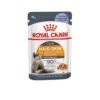 Royal Canin Feline Multipack Intense Beauty Cat Food In Jelly 12x85g (1.02kg) 1 Royal Canin Feline Multipack Intense Beauty Cat Food In Jelly 12x85g (1.02kg) -Greenies Pet Store 41trQX8LHrL