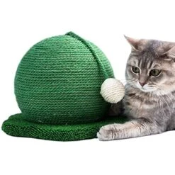 JYDQM Cats Tree Scratcher Woven Cats Scratch Cactus Ball With Wood Base Pet Toy Scratch Board Ball Pet Cat Supplies (Color : C, Size : One Size) -Greenies Pet Store 510GSzFzgdL