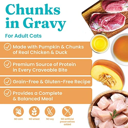 Solid Gold Wet Cat Food For Adult & Senior Cats 24 Pack - Wholesome Selects Chunks In Gravy - Made With Real Chicken & Pumpkin For Healthy Digestion And Sensitive Stomach 4 Solid Gold Wet Cat Food For Adult & Senior Cats 24 Pack - Wholesome Selects Chunks In Gravy - Made With Real Chicken & Pumpkin For Healthy Digestion And Sensitive Stomach - Image 2