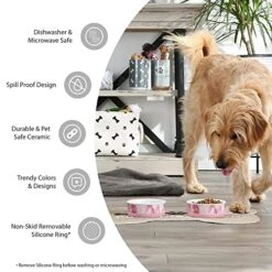 Bone Dry Ceramic Pet Silhouette Collection, Small Set, 4.25x2, Navy, Cat's Meow, 2 Piece (Pack Of 2) -Greenies Pet Store 511JN4RLl5L