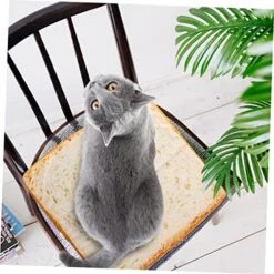 Iplusmile Cat Cushion Interior Decor Soft Mattresses Couch Throw Pillows Cat Blankets For Indoor Cats Calming Cat Blanket Kitten Blanket Adorable Cat Cushion Household Chair Cushion The Cat -Greenies Pet Store 513FIHKrtdL