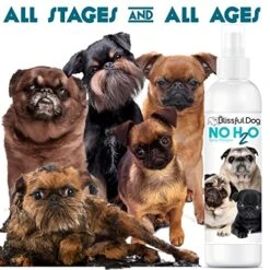 The Blissful Dog No H2O Waterless Pet Shampoo, 16 Oz. -Greenies Pet Store 515fCtAkMTL