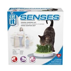 Catit Design Senses Grass Garden Kit 1x70g -Greenies Pet Store 515hjl3MC8L